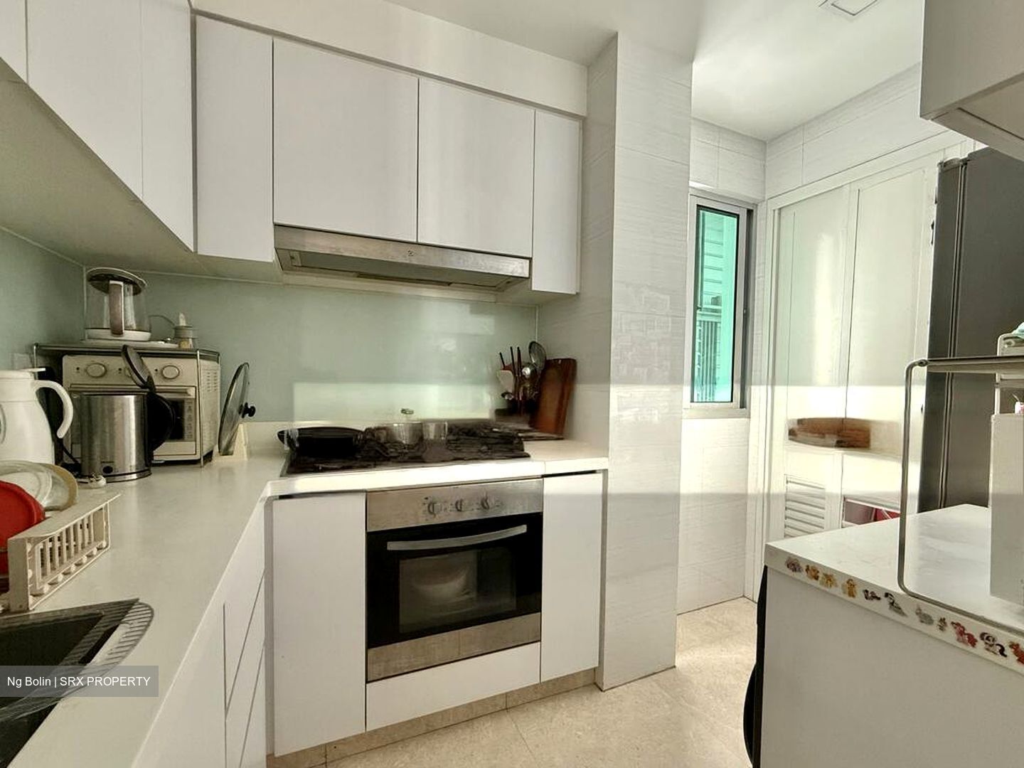 Eight Riversuites (D12), Condominium #502897771